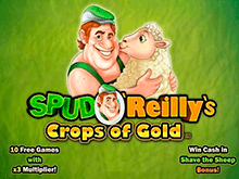 Spud O' Reilly's Crops Of Gold