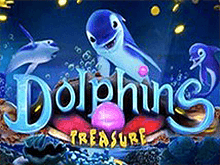 Dolphins Treasure