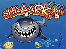 Shaaark Superbet